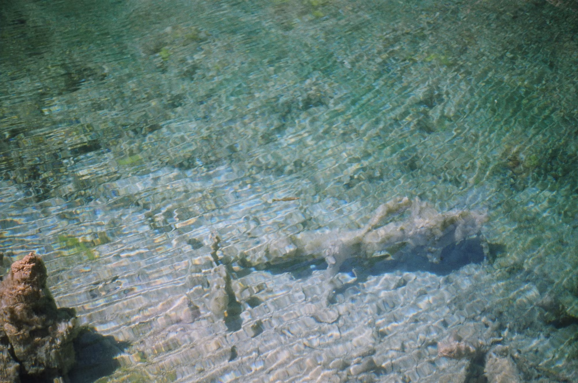 Diving Into Adventure: The Thrill of Underwater Exploration